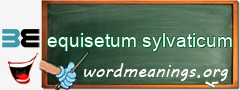 WordMeaning blackboard for equisetum sylvaticum